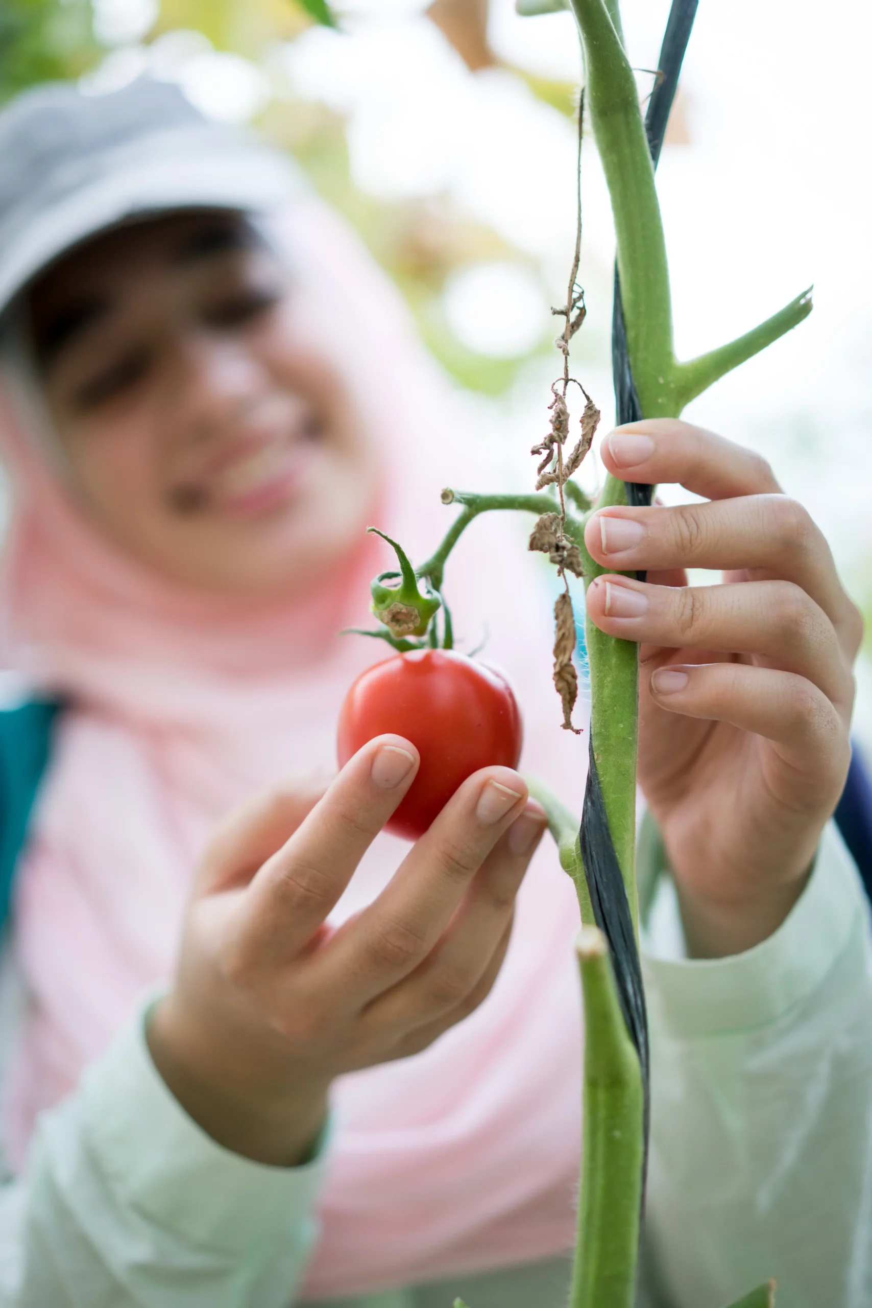 Crédit agricole Microcred