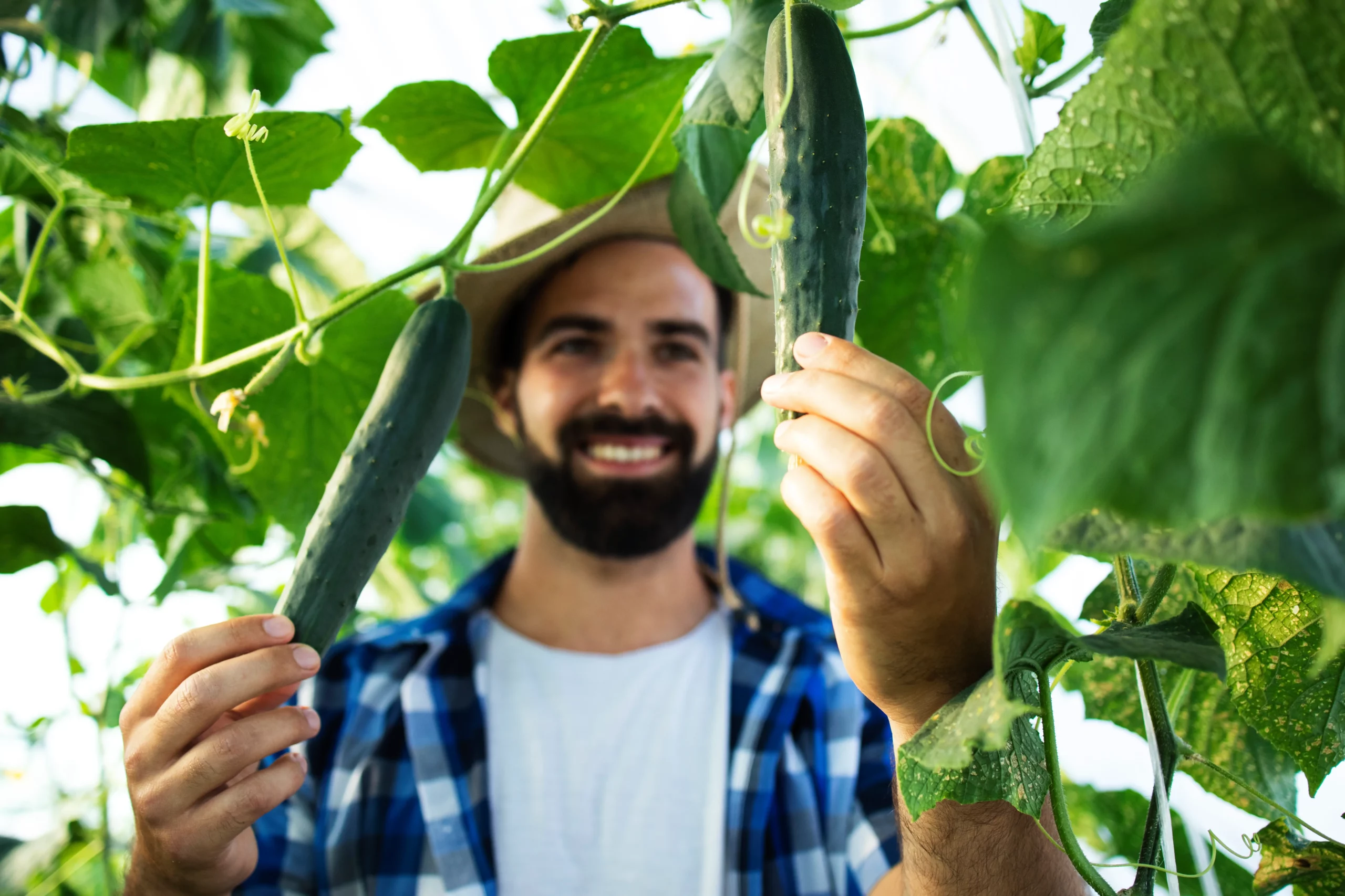 Développer une nouvelle source de revenu agricole