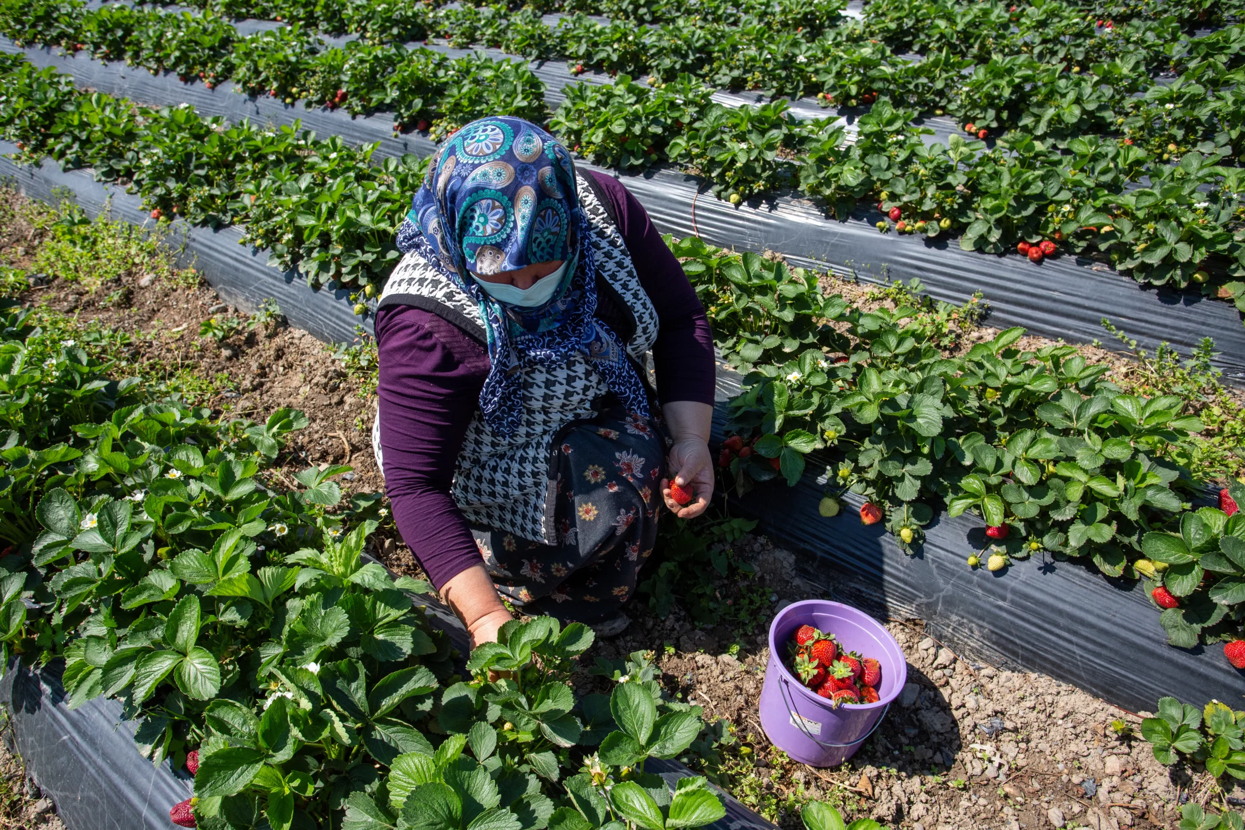 Un crédit agricole adapté aux besoins de votre exploitation
